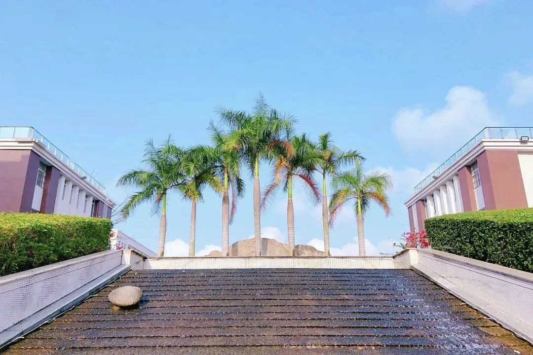 悅伴成長(zhǎng)  家長(zhǎng)學(xué)堂  |  ?？谏礁咧袑W(xué)優(yōu)秀家長(zhǎng)育子心得分享（第53期）-圖片8